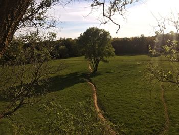 Scenic view of field against sky