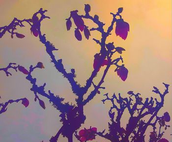 Low angle view of flowers