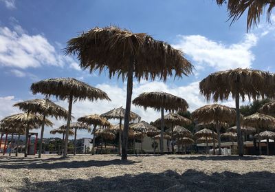 Palm trees on beach against sky