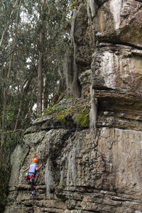 Rear view of people walking in forest