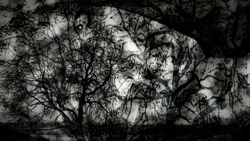 Low angle view of bare trees against sky