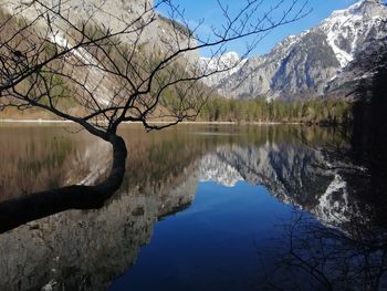 Reflection of trees in lake