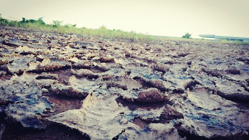 Rocks on landscape