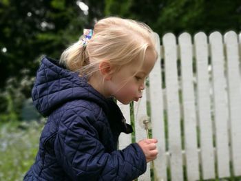 Side view of young girl blowing dandelion