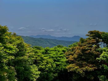 Scenic view of tree mountains against sky