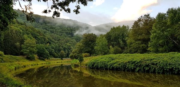 Scenic view of landscapes of lahn valley with fog in the forest trees and reflections in lahn river