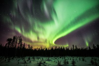 Scenic view of trees against sky at night during winter