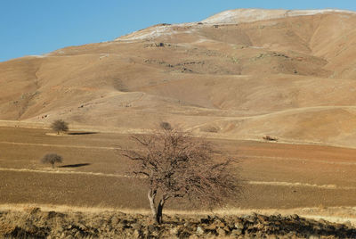 Scenic view of desert against clear sky