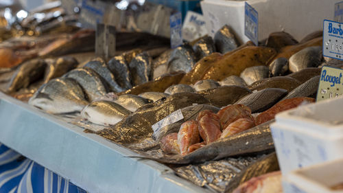 Close-up of fish for sale at market stall