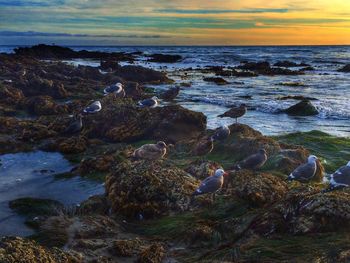 Scenic view of sea at sunset