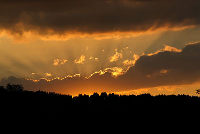 Silhouette trees against dramatic sky during sunset