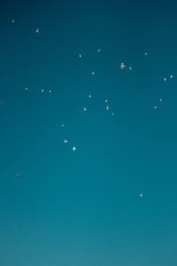 Low angle view of kites in sea against blue sky