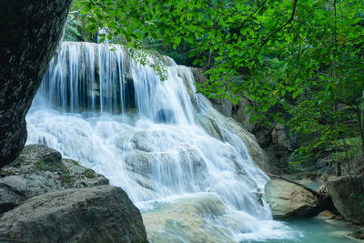 Scenic view of waterfall in forest