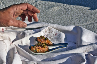 Midsection of person holding meat on plate