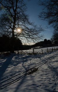 Bare trees on snow covered field against sky