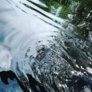 Reflection of trees in water