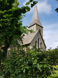 Low angle view of trees and building against sky