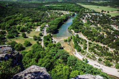 High angle view of river amidst trees