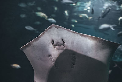 Close-up of human hand against swimming pool