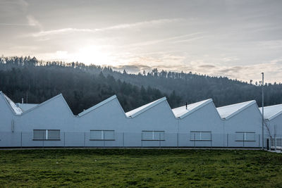 Scenic view of field by houses against sky