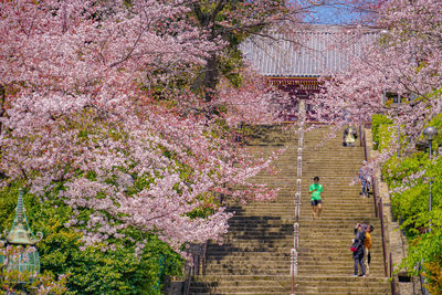 People walking on footpath