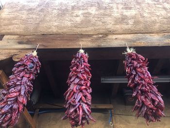 Low angle view of clothes drying on display at market