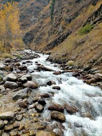 River flowing through rocks in forest