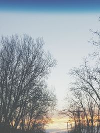 Silhouette bare trees against sky