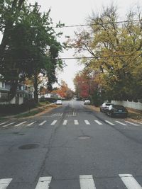 Road passing through forest