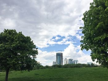 Trees on field against cloudy sky