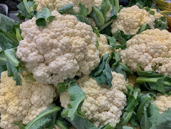 cauliflower