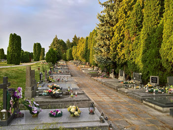 People on road amidst flowering plants and trees against sky