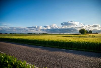 Scenic view of field against clear sky