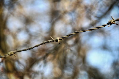 Close-up of barbed wire against sky