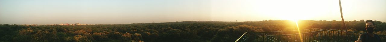 Scenic view of landscape against clear sky during sunset