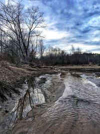 Bare trees on riverbank against sky