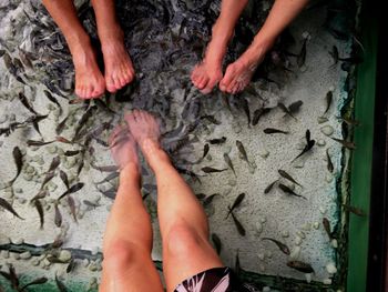 Low section of women during fish pedicure