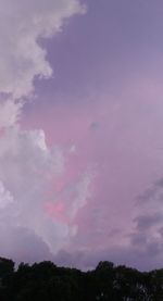 Low angle view of silhouette trees against sky during sunset