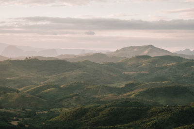 environment