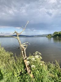 Scenic view of lake against sky