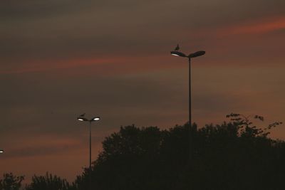 Low angle view of street light against orange sky