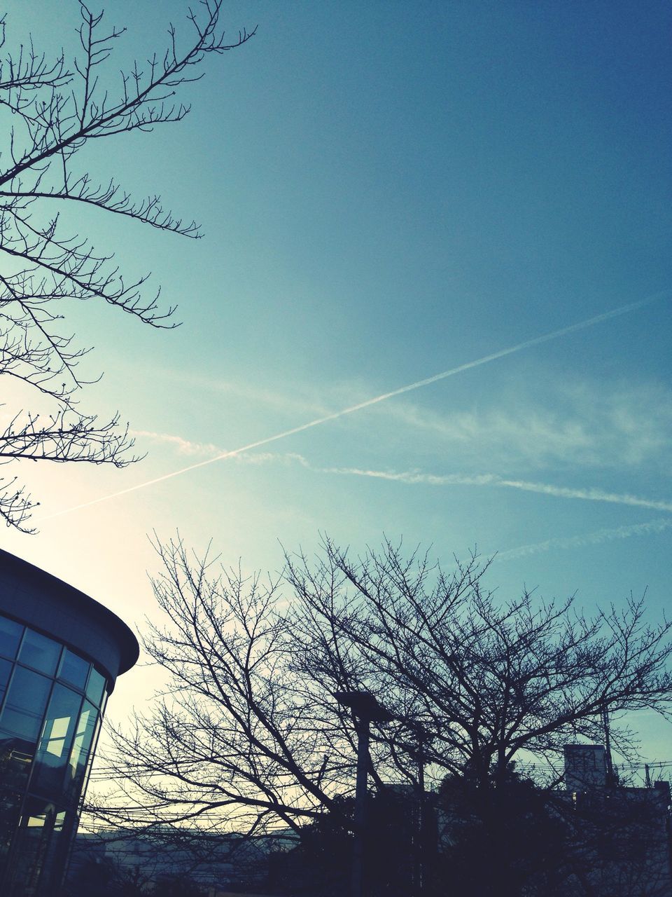 low angle view, tree, built structure, bare tree, architecture, building exterior, silhouette, sky, branch, blue, clear sky, vapor trail, nature, high section, outdoors, power line, no people, beauty in nature, day, city