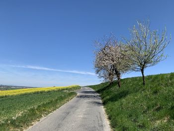 Road amidst trees on field against sky