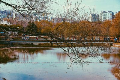 Reflection of trees in lake against sky