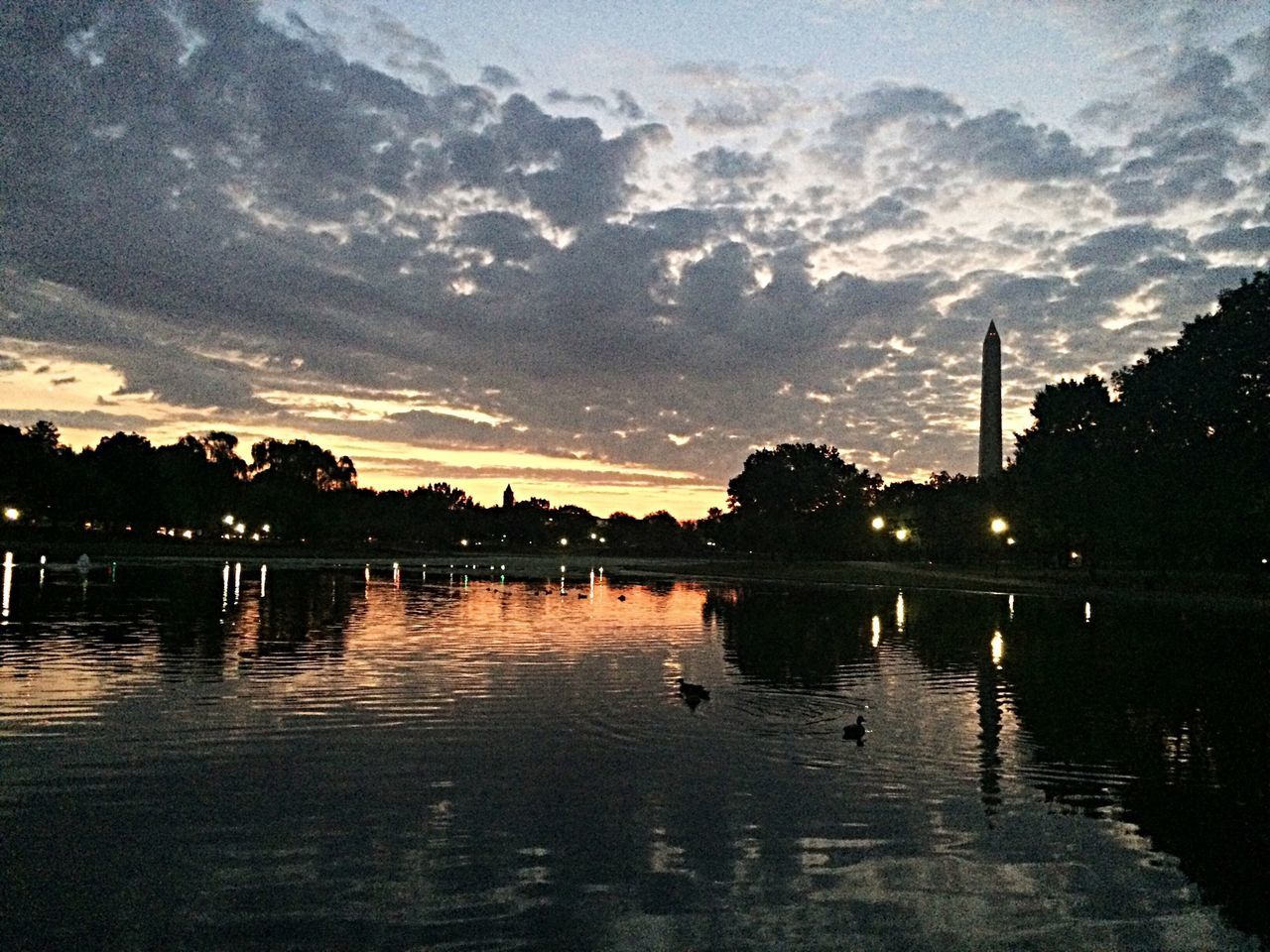 water, reflection, lake, bird, silhouette, animal themes, sunset, waterfront, sky, animals in the wild, wildlife, river, tranquility, tranquil scene, nature, scenics, tree, beauty in nature, duck, swimming