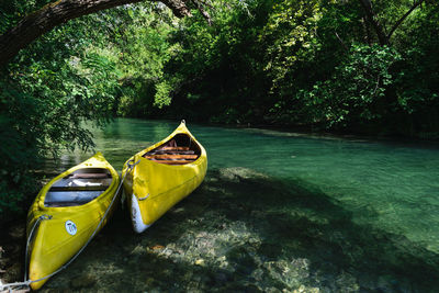 Yellow boat in water by trees