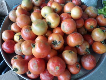 High angle view of tomatoes in container