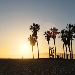 Silhouette palm trees on beach against clear sky at sunset