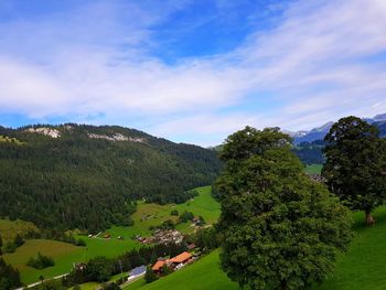 High angle view of trees on mountain against sky