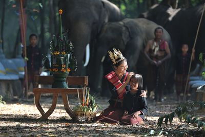 People and elephants on land in forest